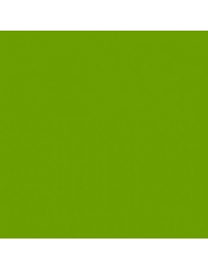 Термоплёнка G-Flex ПУ, яблочно-зеленая, 51х100см PU-APPLE GREEN