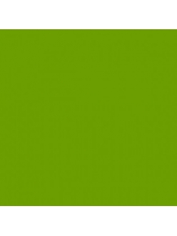 Термоплёнка G-Flex ПУ, яблочно-зеленая, 51х100см PU-APPLE GREEN