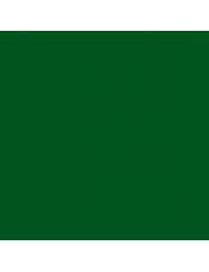 Термоплёнка G-Flex ПУ, зеленая, 51х100см PU-GREEN